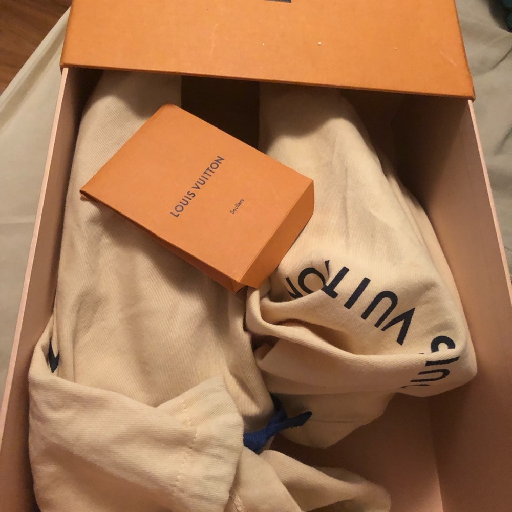 Louis vuitton runway sneakers